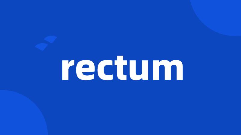 rectum