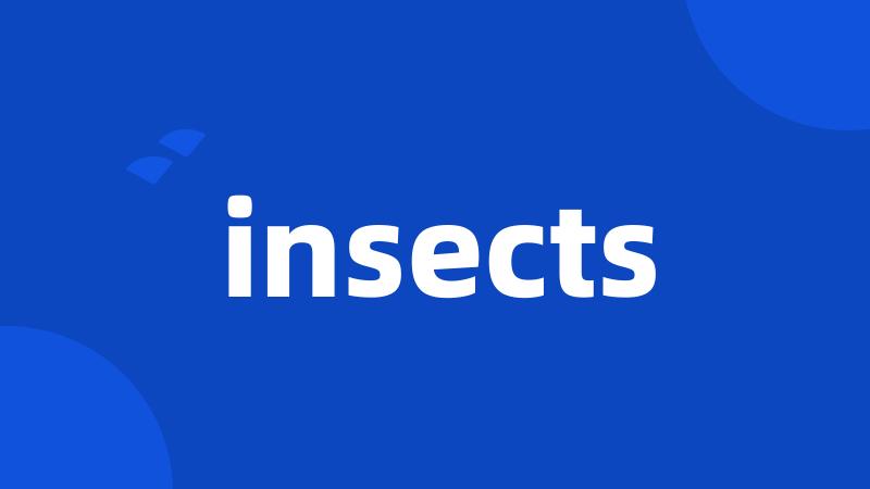 insects