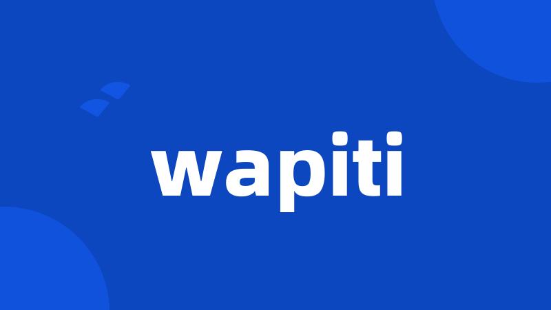 wapiti