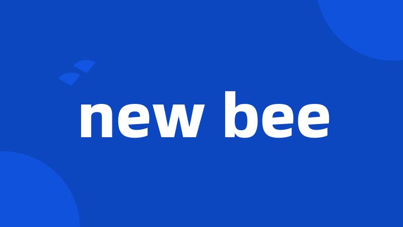 new bee