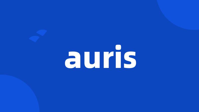 auris