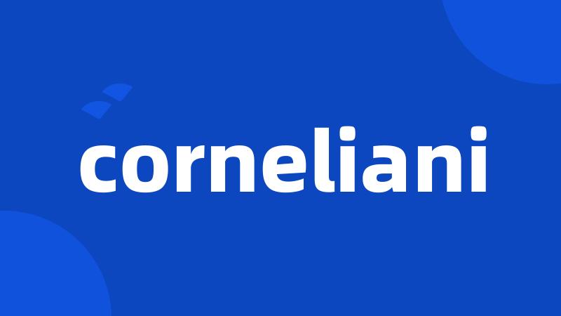 corneliani