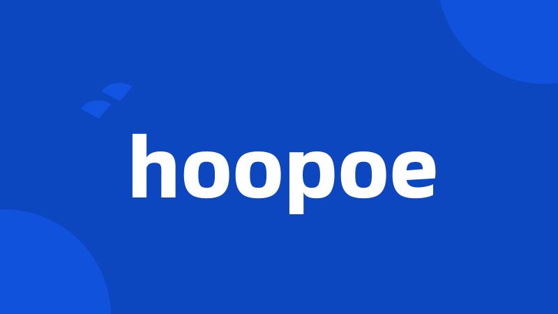 hoopoe