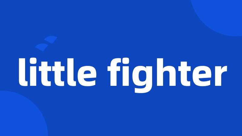 little fighter