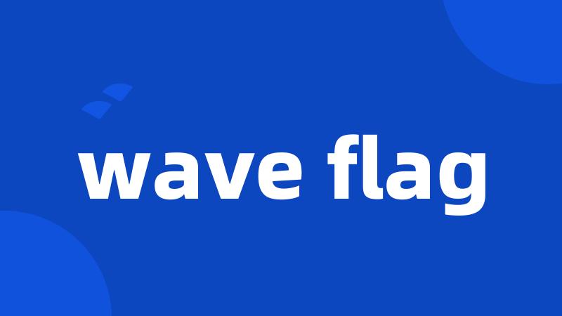 wave flag