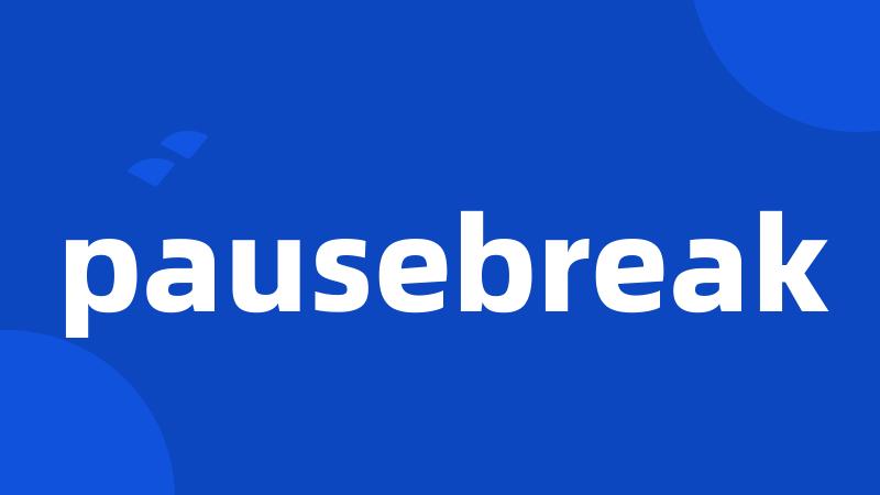 pausebreak