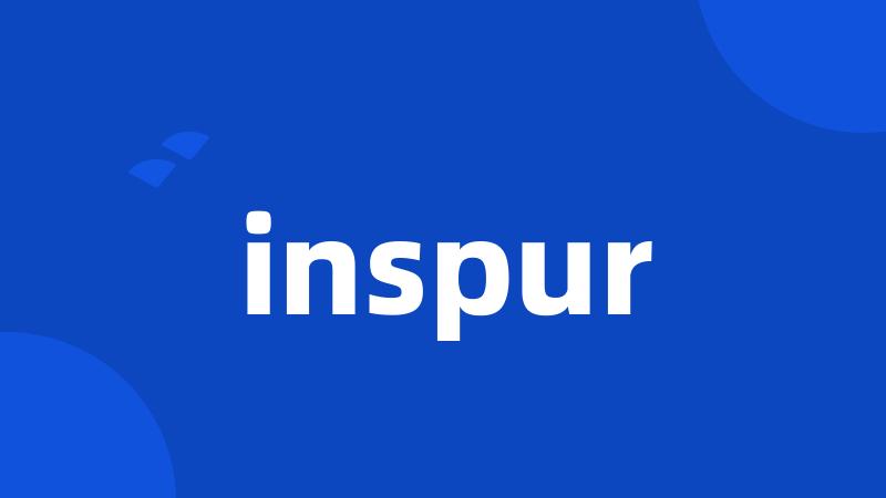 inspur