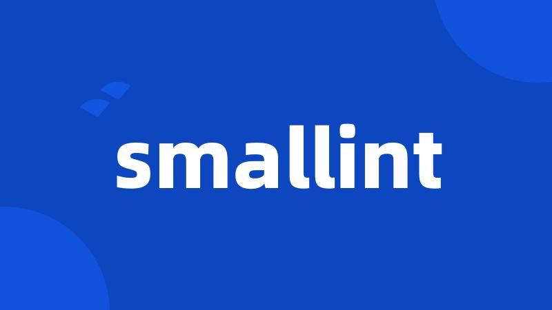 smallint