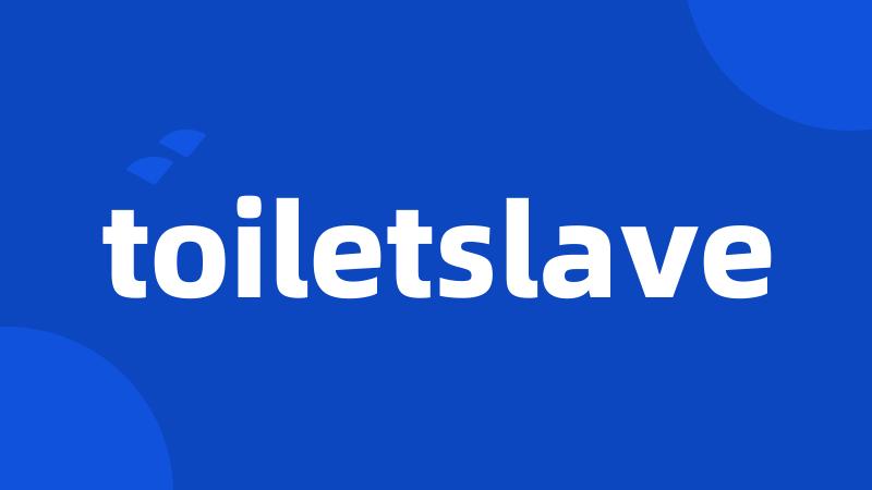 toiletslave