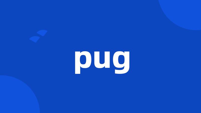 pug