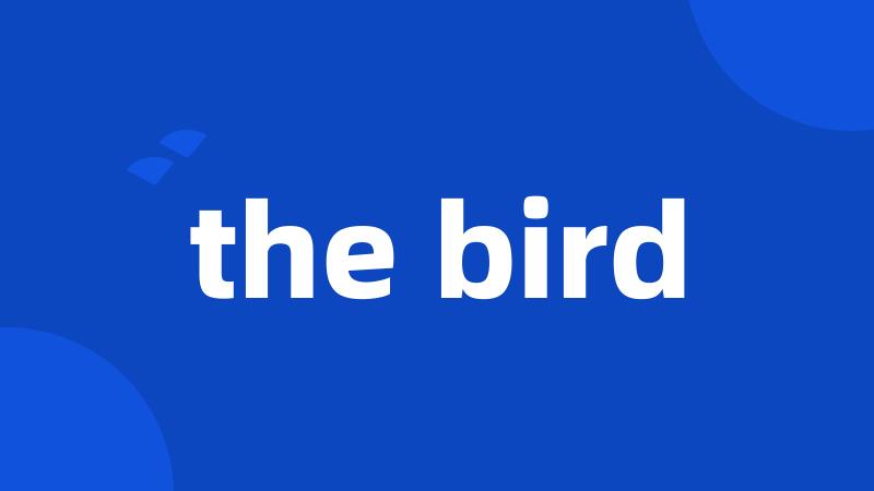 the bird