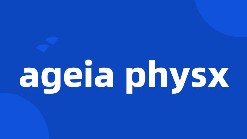 ageia physx