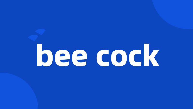 bee cock