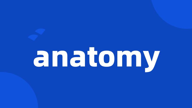 anatomy