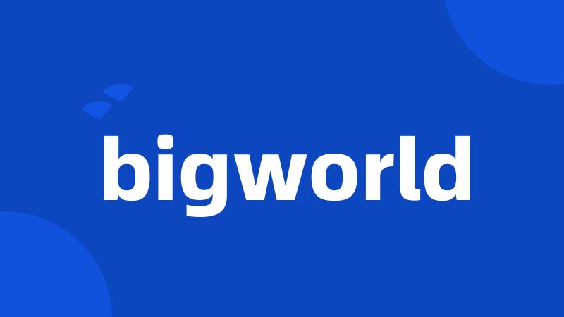 bigworld