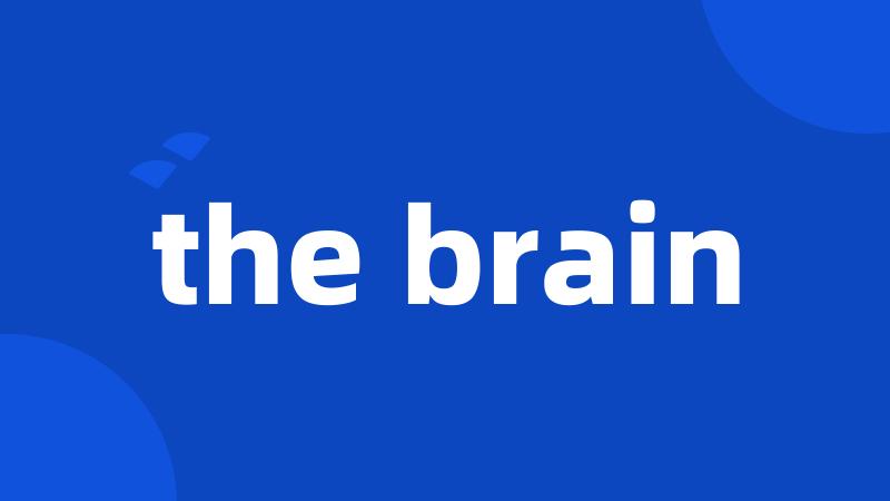 the brain