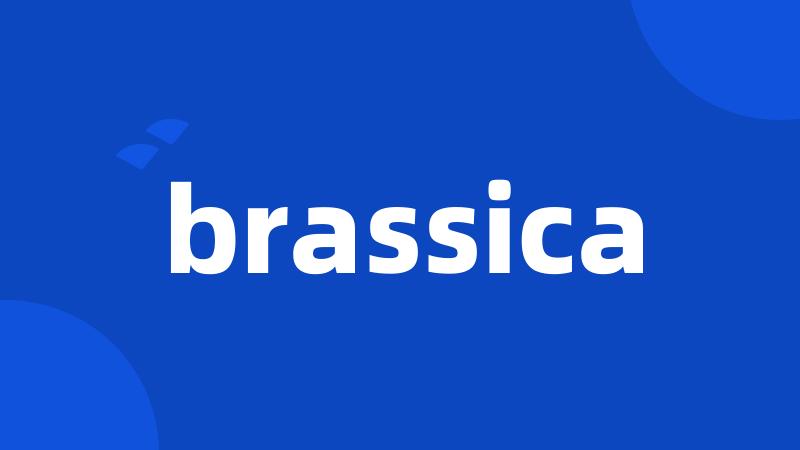 brassica