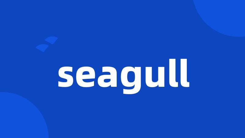 seagull