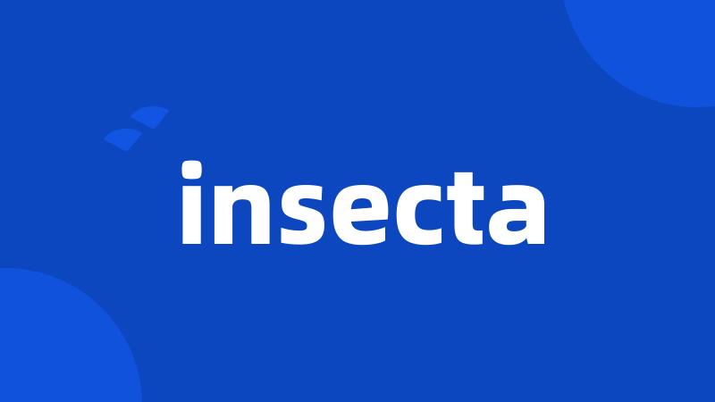 insecta