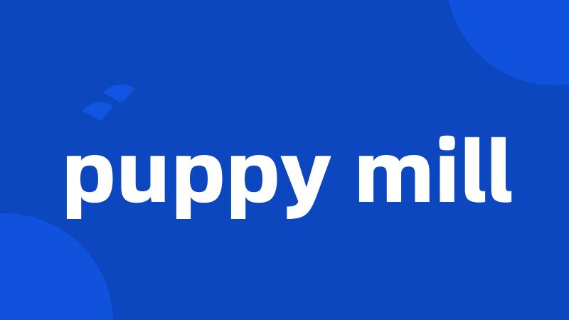 puppy mill