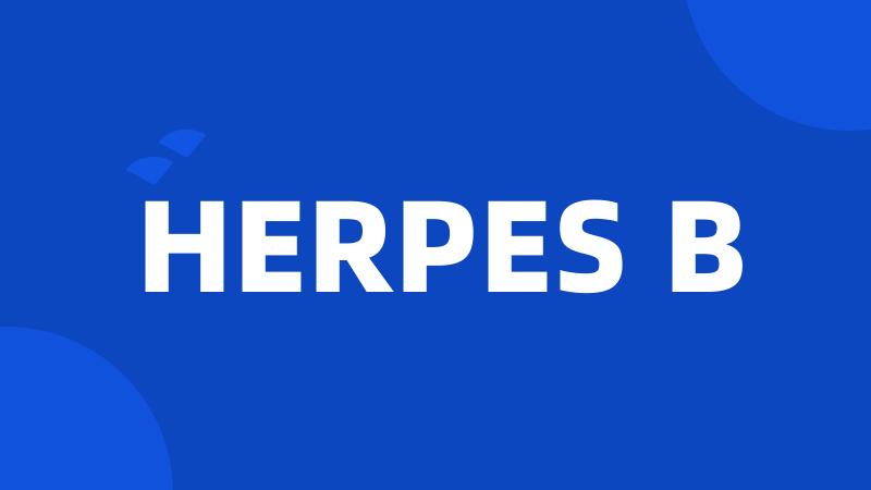 HERPES B