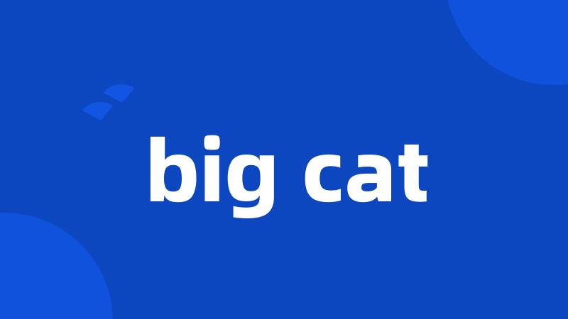 big cat