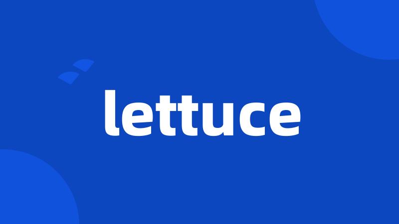 lettuce