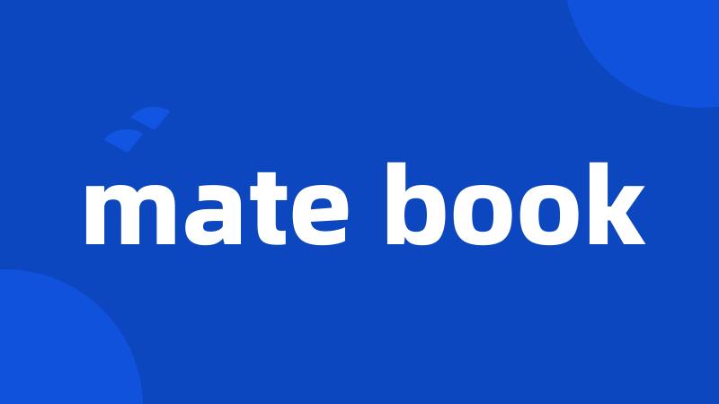 mate book