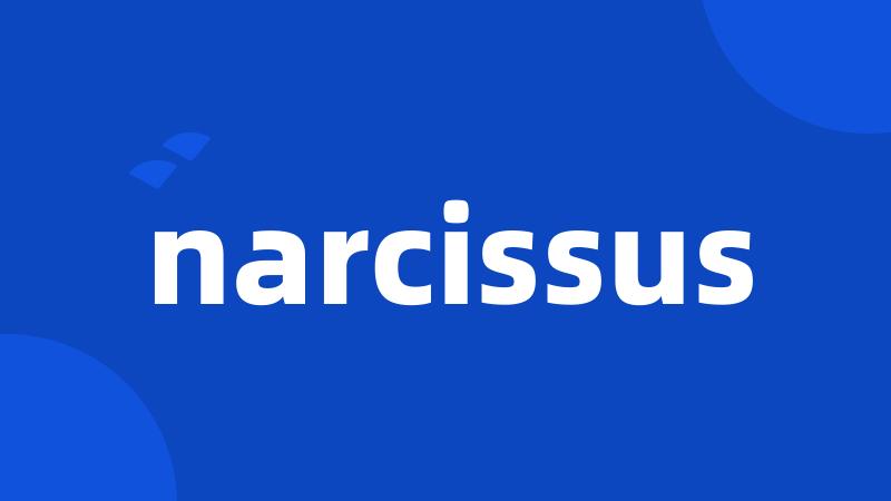 narcissus