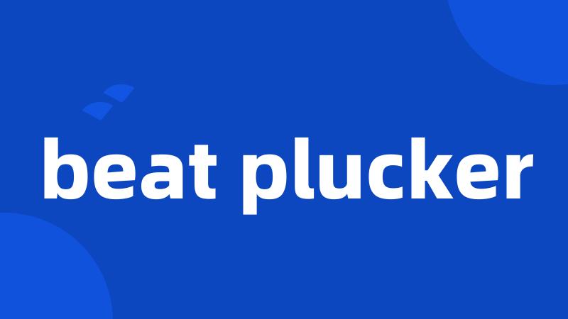 beat plucker