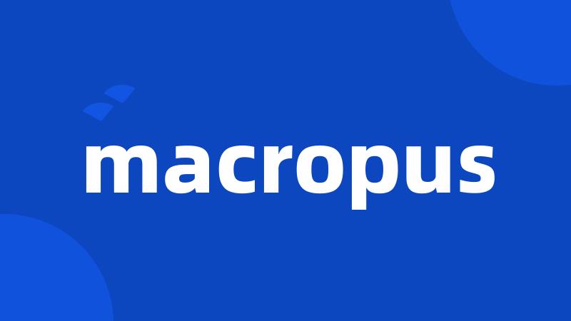 macropus