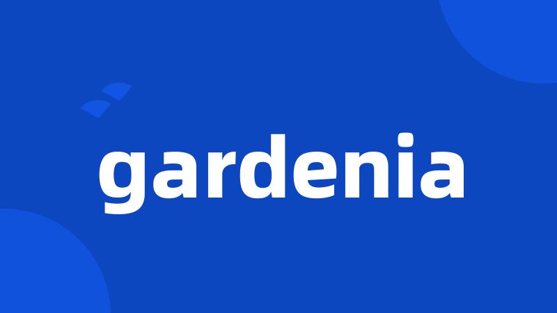 gardenia