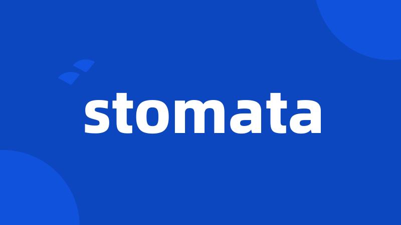 stomata