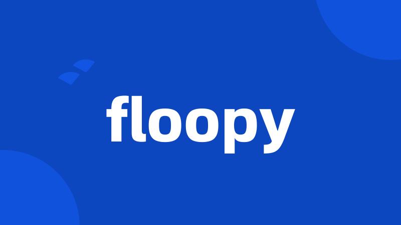 floopy