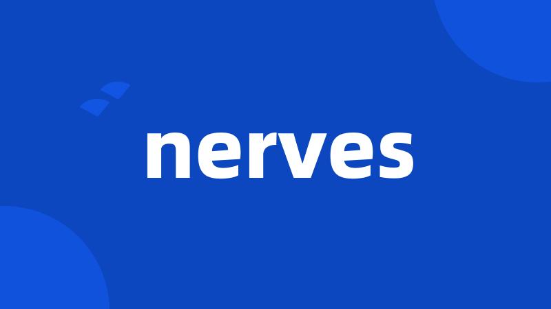 nerves