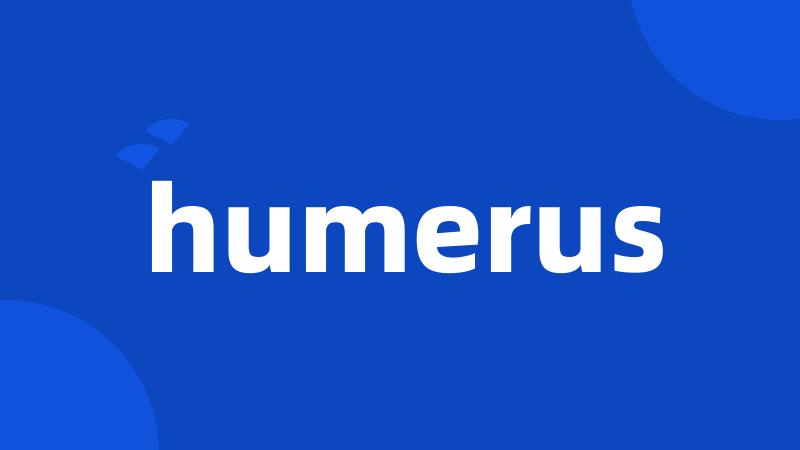 humerus