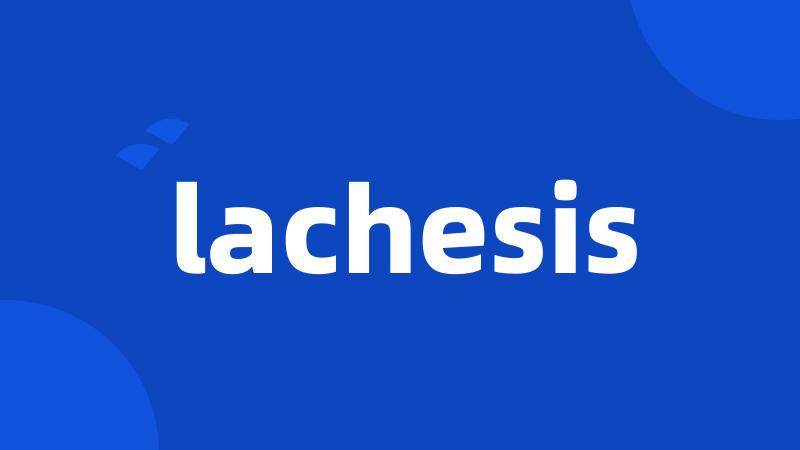 lachesis