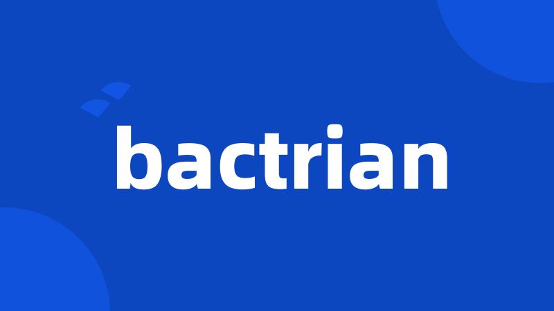 bactrian
