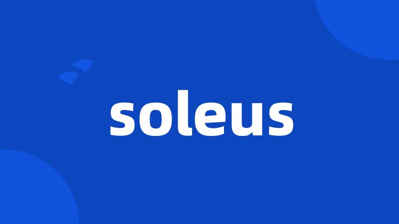 soleus