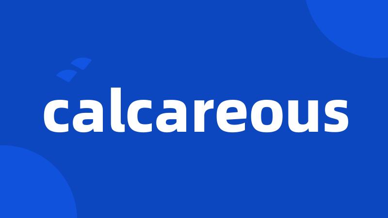 calcareous