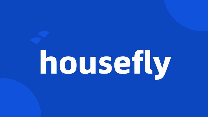 housefly