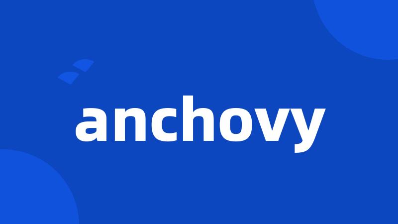 anchovy