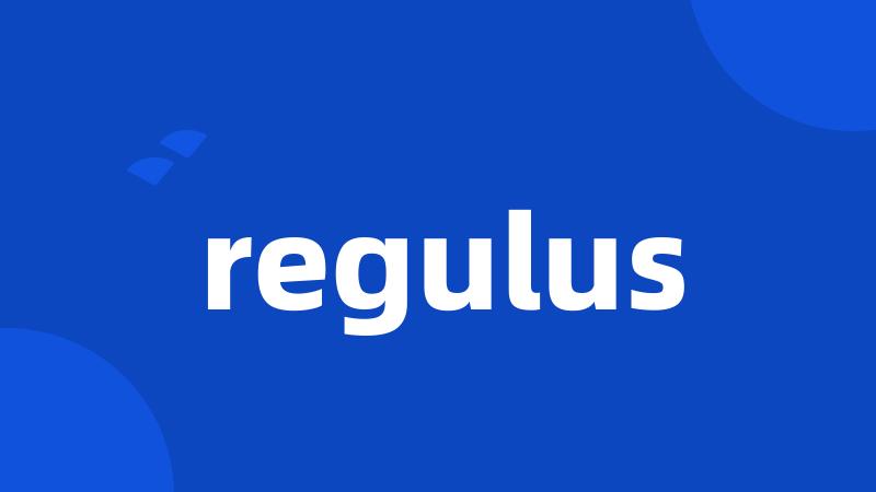 regulus