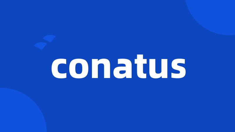 conatus