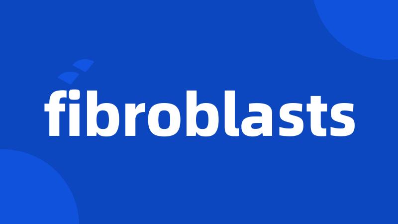 fibroblasts