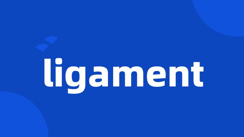 ligament