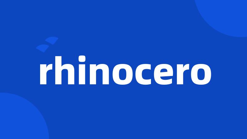 rhinocero