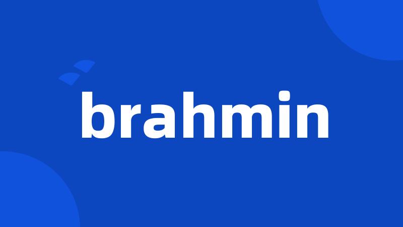 brahmin