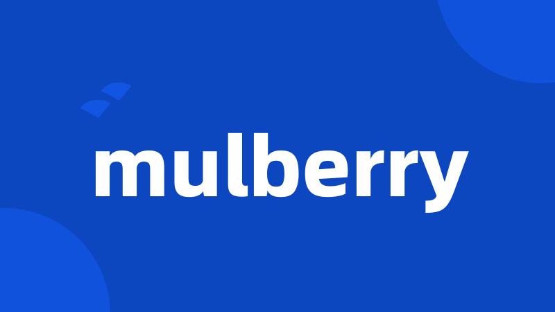 mulberry