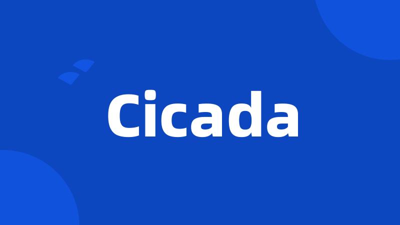 Cicada